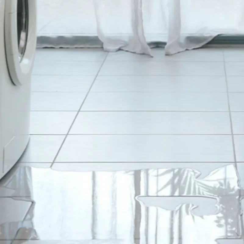 Appliance Leak Cleanup in Williams, AZ